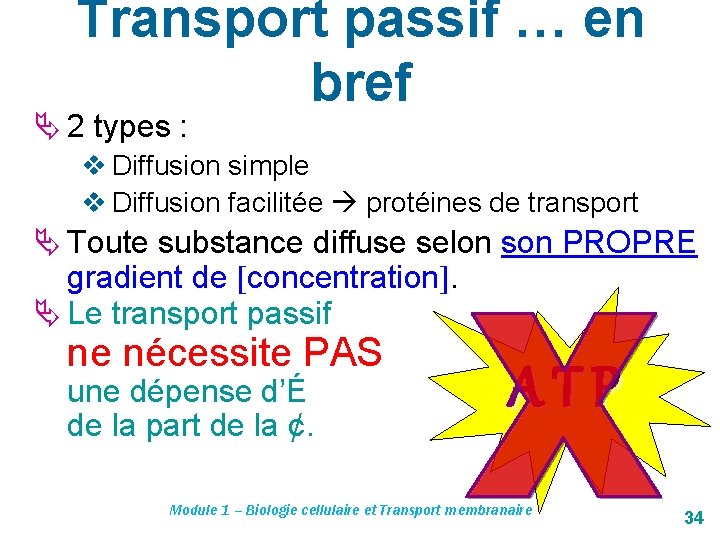 Transport passif … en bref 2 types : v Diffusion simple v Diffusion facilitée