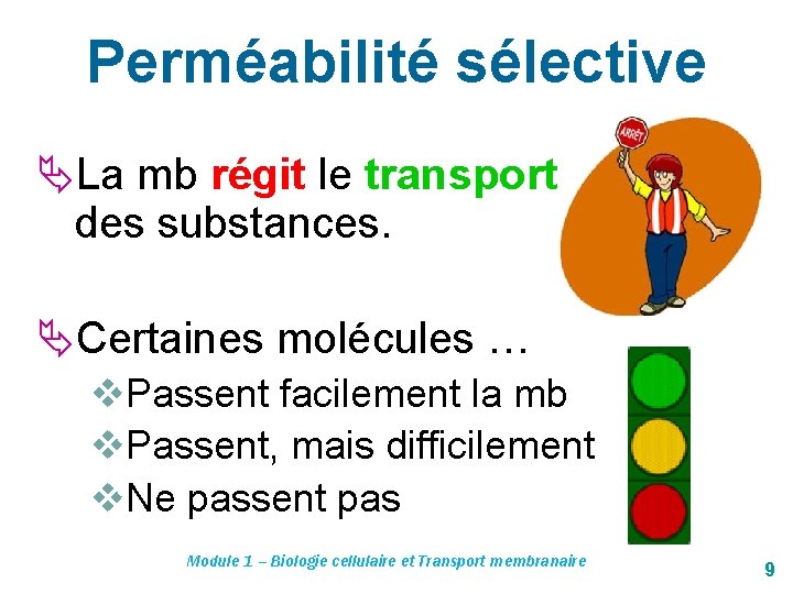 Perméabilité sélective La mb régit le transport des substances. Certaines molécules … v. Passent