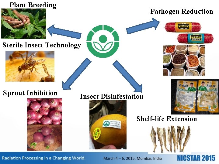 Plant Breeding Pathogen Reduction Sterile Insect Technology Sprout Inhibition Insect Disinfestation Shelf-life Extension 