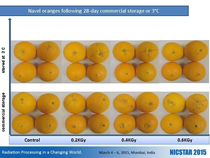 commercial storage stored at 3 C Navel oranges following 28 -day commercial storage or