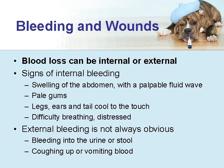 Emergency Animal Care Wendy Blount DVM Video Why