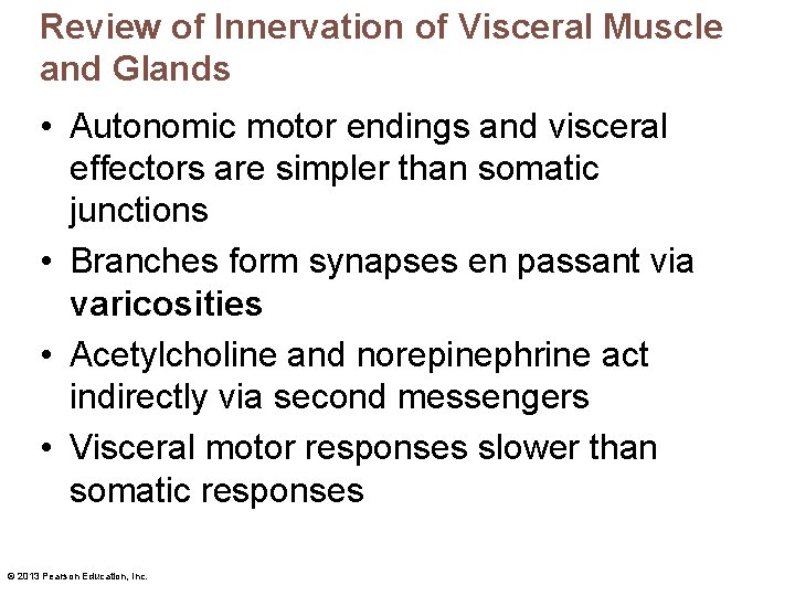 Review of Innervation of Visceral Muscle and Glands • Autonomic motor endings and visceral