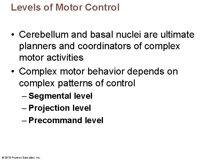 Levels of Motor Control • Cerebellum and basal nuclei are ultimate planners and coordinators