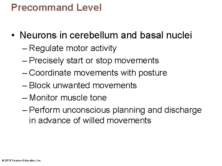 Precommand Level • Neurons in cerebellum and basal nuclei – Regulate motor activity –