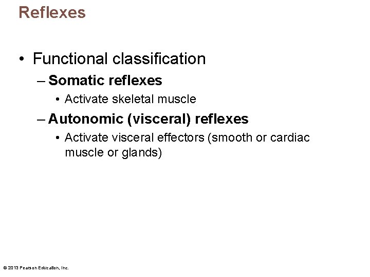 Reflexes • Functional classification – Somatic reflexes • Activate skeletal muscle – Autonomic (visceral)
