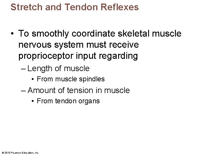 Stretch and Tendon Reflexes • To smoothly coordinate skeletal muscle nervous system must receive