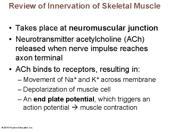 Review of Innervation of Skeletal Muscle • Takes place at neuromuscular junction • Neurotransmitter