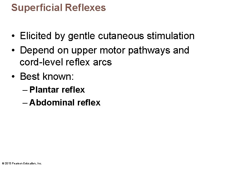 Superficial Reflexes • Elicited by gentle cutaneous stimulation • Depend on upper motor pathways