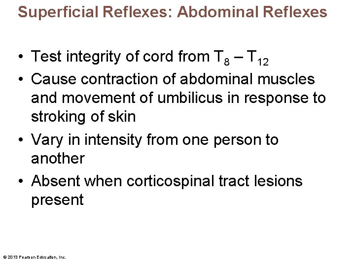 Superficial Reflexes: Abdominal Reflexes • Test integrity of cord from T 8 – T