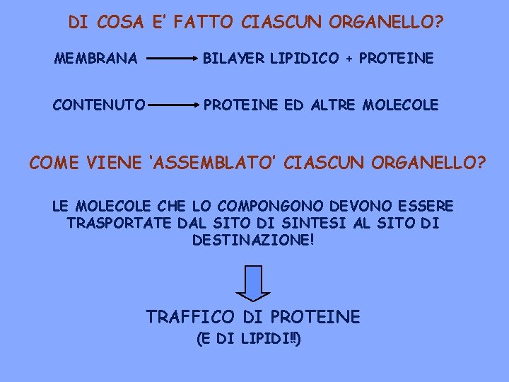 DI COSA E’ FATTO CIASCUN ORGANELLO? MEMBRANA BILAYER LIPIDICO + PROTEINE CONTENUTO PROTEINE ED