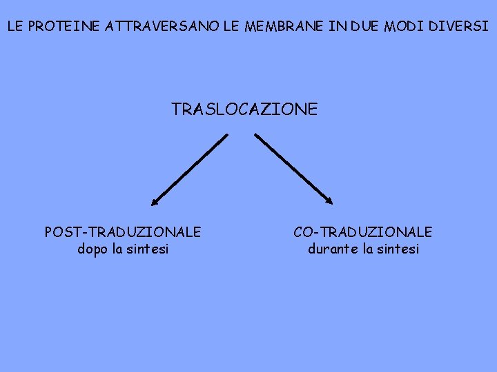 LE PROTEINE ATTRAVERSANO LE MEMBRANE IN DUE MODI DIVERSI TRASLOCAZIONE POST-TRADUZIONALE dopo la sintesi