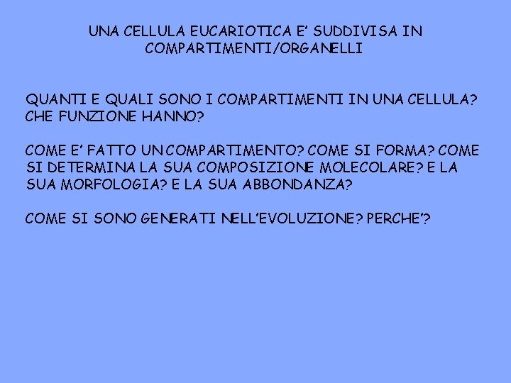 UNA CELLULA EUCARIOTICA E’ SUDDIVISA IN COMPARTIMENTI/ORGANELLI QUANTI E QUALI SONO I COMPARTIMENTI IN