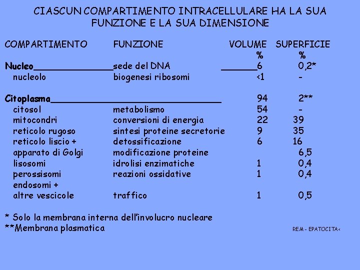 CIASCUN COMPARTIMENTO INTRACELLULARE HA LA SUA FUNZIONE E LA SUA DIMENSIONE COMPARTIMENTO FUNZIONE Nucleo