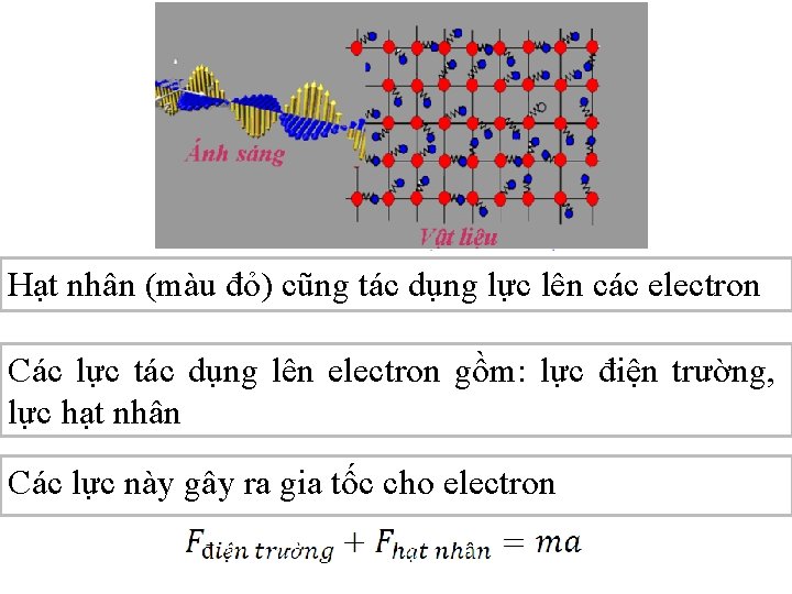 Hạt nhân (màu đỏ) cũng tác dụng lực lên các electron Các lực tác