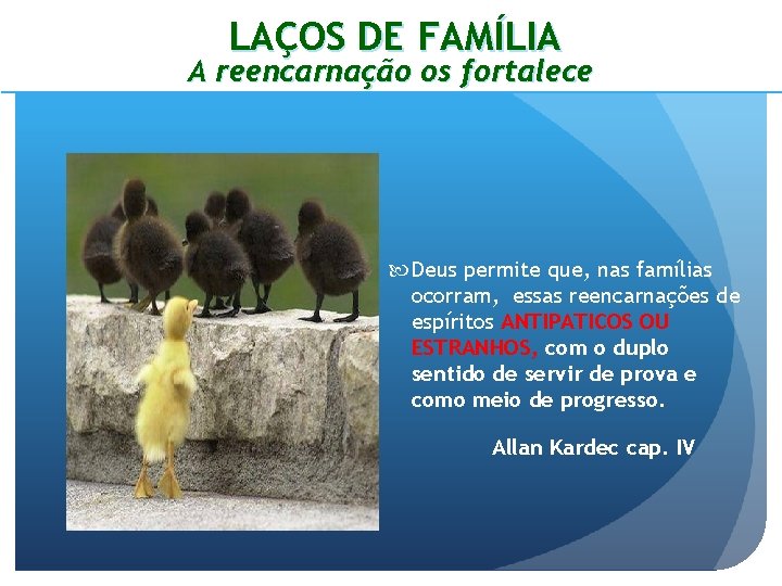 LAÇOS DE FAMÍLIA A reencarnação os fortalece Deus permite que, nas famílias ocorram, essas