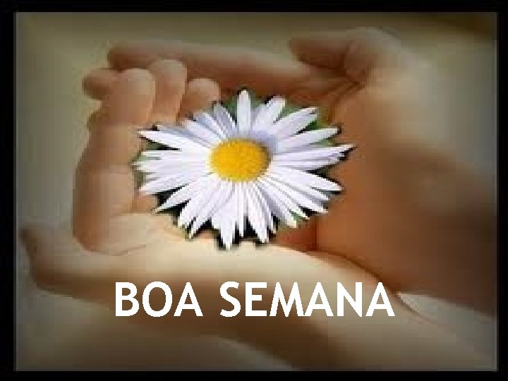 BOA SEMANA 