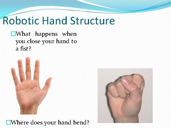 Robotic Hand Structure �What happens when you close your hand to a fist? �Where