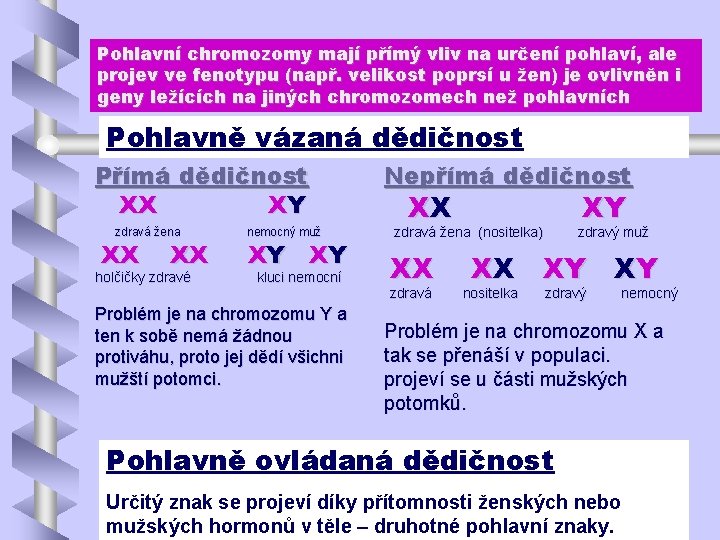 Pohlavní chromozomy mají přímý vliv na určení pohlaví, ale projev ve fenotypu (např. velikost