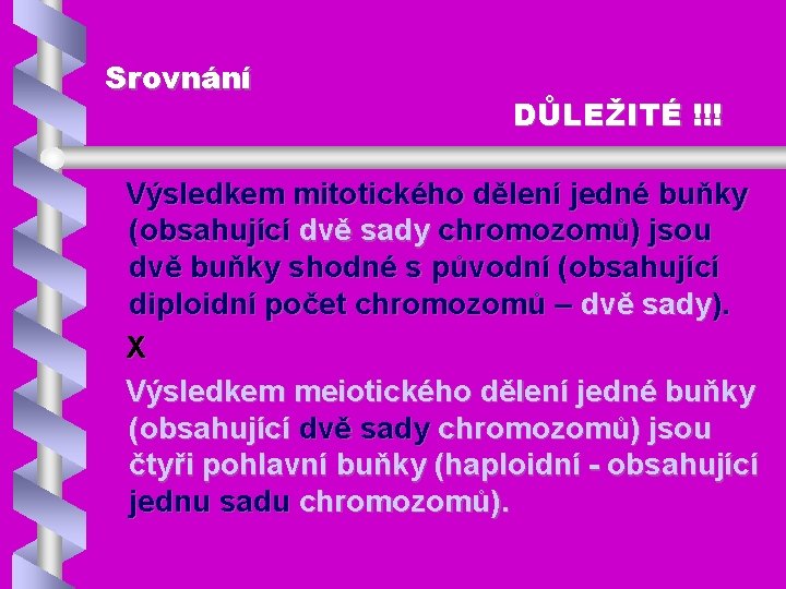 Srovnání DŮLEŽITÉ !!! Výsledkem mitotického dělení jedné buňky (obsahující dvě sady chromozomů) jsou dvě