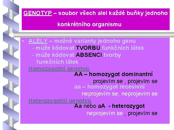 GENOTYP – soubor všech alel každé buňky jednoho konkrétního organismu • ALELY – možné