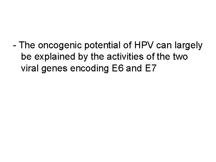 - The oncogenic potential of HPV can largely be explained by the activities of