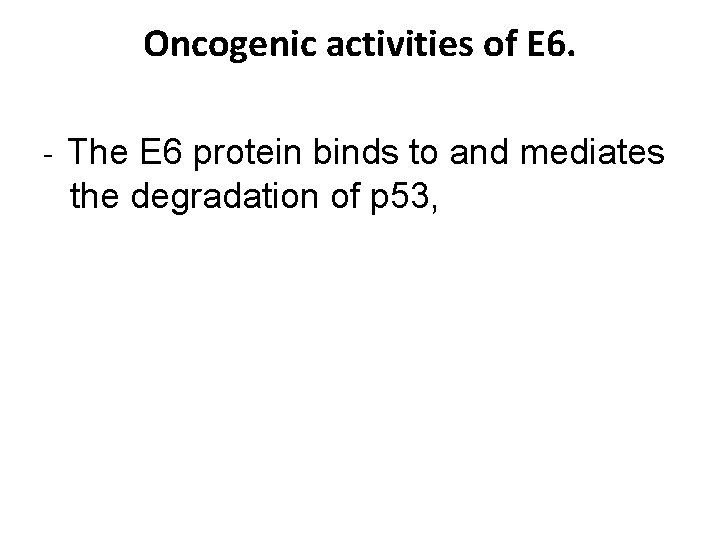 Oncogenic activities of E 6. - The E 6 protein binds to and mediates