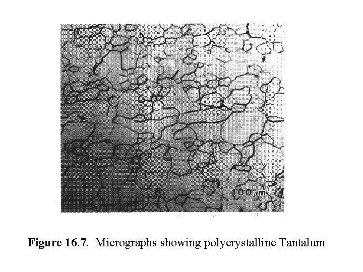 Figure 16. 7. Micrographs showing polycrystalline Tantalum 