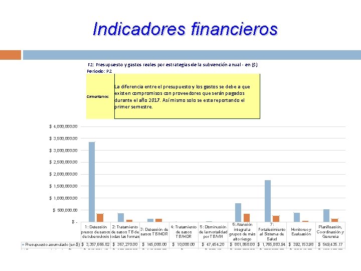 Indicadores financieros F 2: Presupuesto y gastos reales por estrategias de la subvención anual Indicadores financieros F 2: Presupuesto y gastos reales por estrategias de la subvención anual