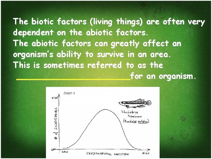 The biotic factors (living things) are often very dependent on the abiotic factors. The