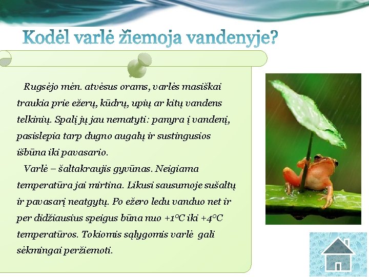 Rugsėjo mėn. atvėsus orams, varlės masiškai traukia prie ežerų, kūdrų, upių ar kitų vandens