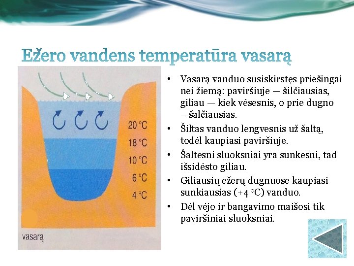  • Vasarą vanduo susiskirstęs priešingai nei žiemą: paviršiuje — šilčiausias, giliau — kiek