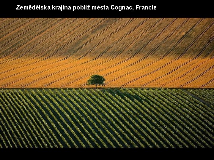 Zemědělská krajina poblíž města Cognac, Francie 