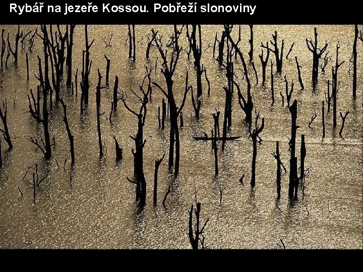 Rybář na jezeře Kossou. Pobřeží slonoviny 