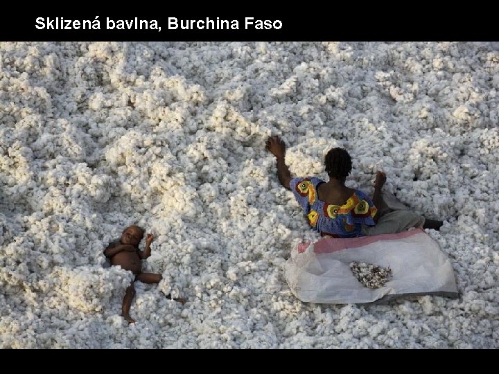 Sklizená bavlna, Burchina Faso 