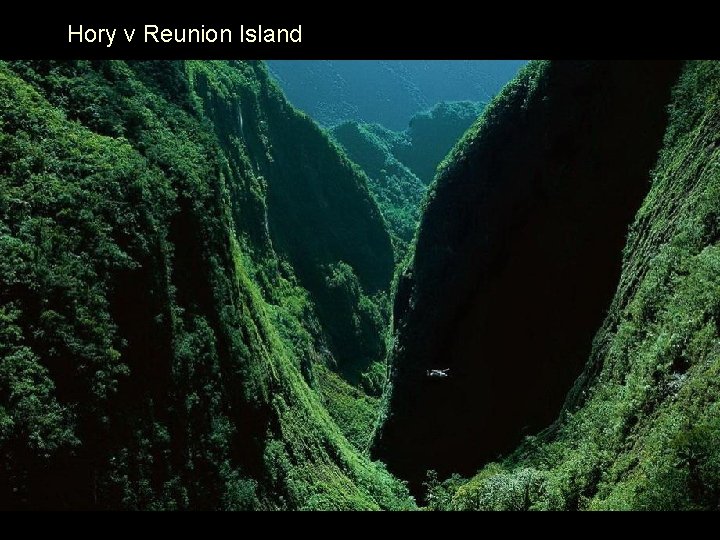 Hory v Reunion Island 