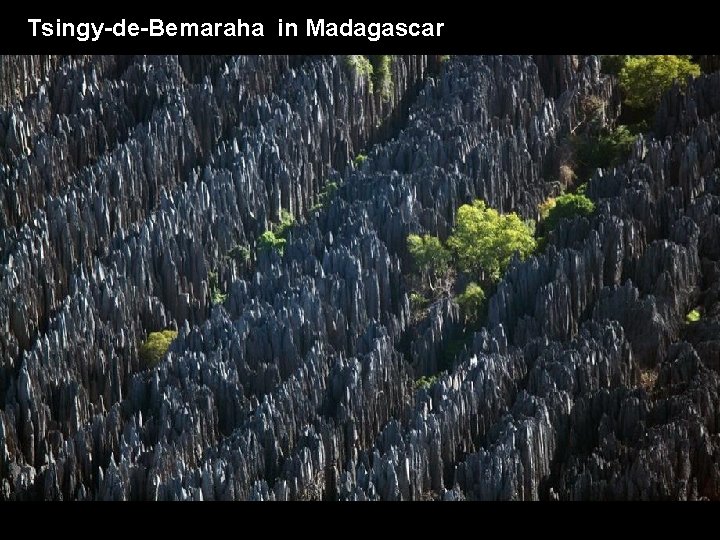 Tsingy-de-Bemaraha in Madagascar 