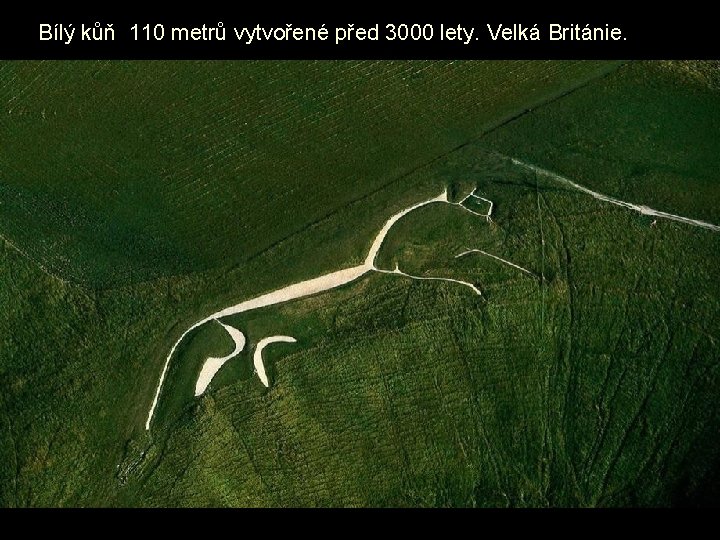 Bílý kůň 110 metrů vytvořené před 3000 lety. Velká Británie. 