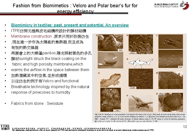 Fashion from Biomimetics : Velcro and Polar bear’s fur for energy efficiency • •