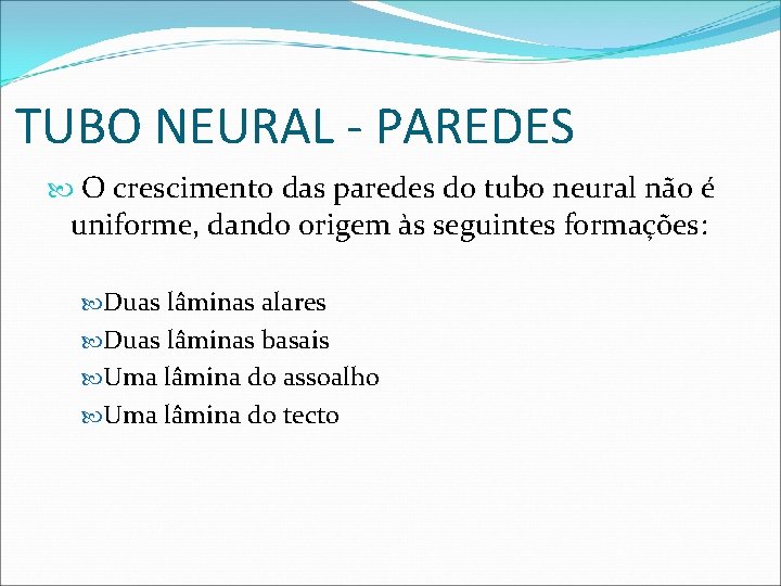 TUBO NEURAL - PAREDES O crescimento das paredes do tubo neural não é uniforme,