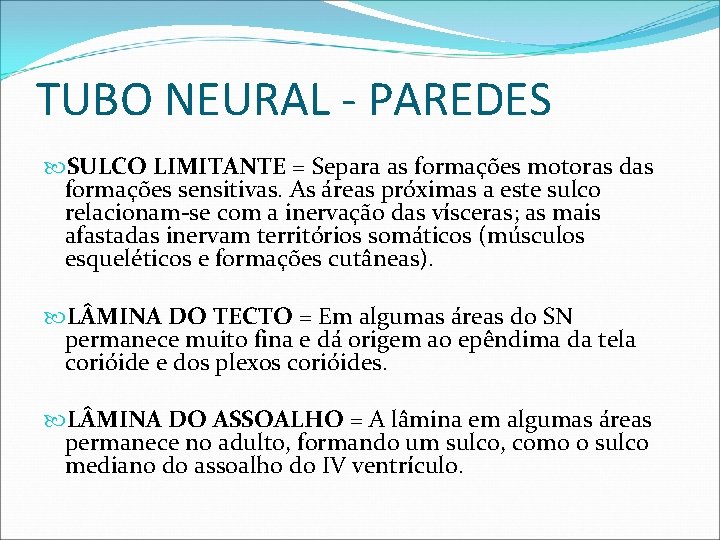 TUBO NEURAL - PAREDES SULCO LIMITANTE = Separa as formações motoras das formações sensitivas.