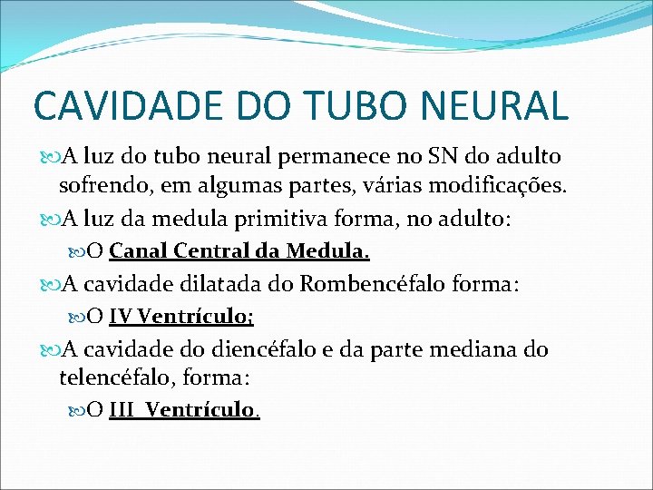 CAVIDADE DO TUBO NEURAL A luz do tubo neural permanece no SN do adulto