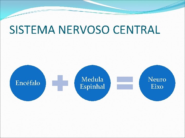 SISTEMA NERVOSO CENTRAL Encéfalo Medula Espinhal Neuro Eixo 