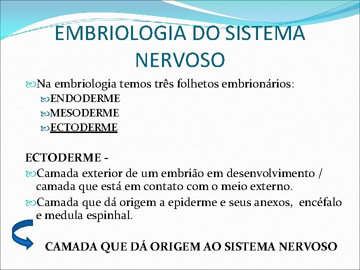 EMBRIOLOGIA DO SISTEMA NERVOSO Na embriologia temos três folhetos embrionários: ENDODERME MESODERME ECTODERME -