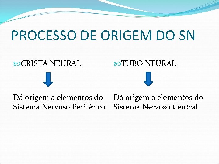 PROCESSO DE ORIGEM DO SN CRISTA NEURAL TUBO NEURAL Dá origem a elementos do