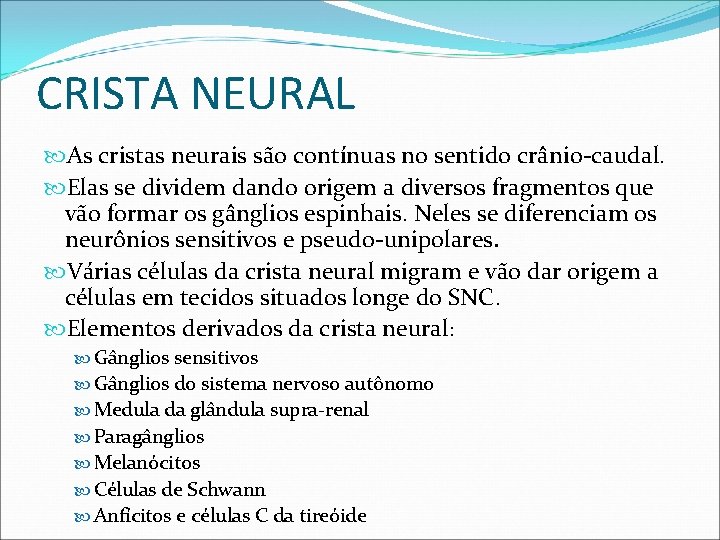 CRISTA NEURAL As cristas neurais são contínuas no sentido crânio-caudal. Elas se dividem dando