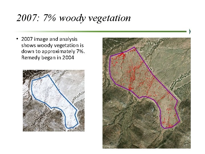 2007: 7% woody vegetation • 2007 image and analysis shows woody vegetation is down