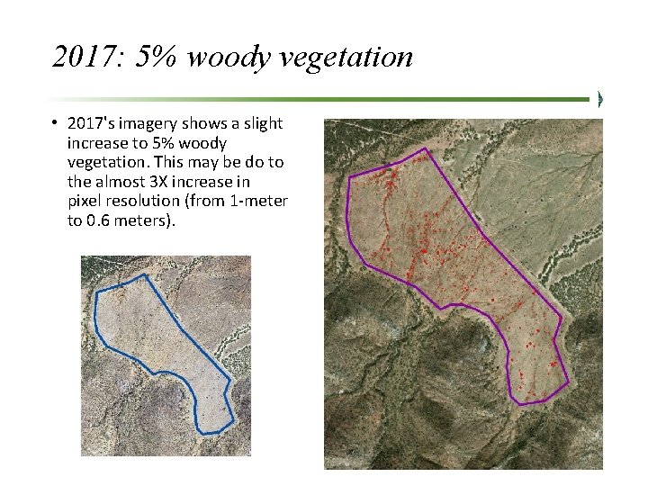 2017: 5% woody vegetation • 2017's imagery shows a slight increase to 5% woody