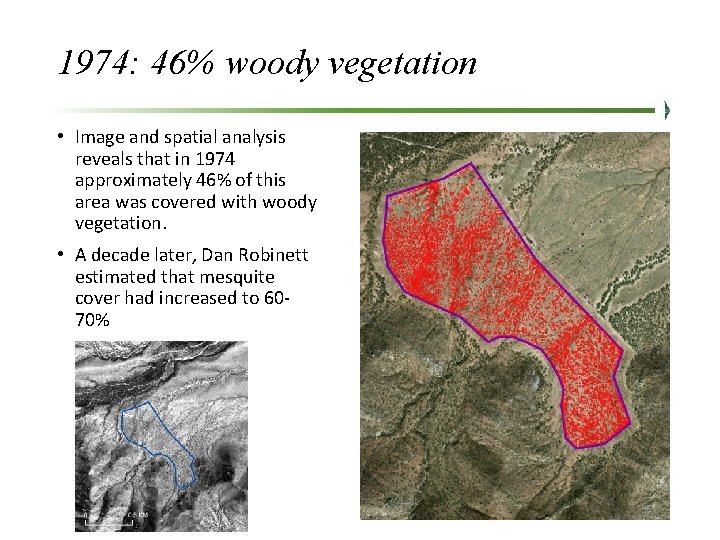 1974: 46% woody vegetation • Image and spatial analysis reveals that in 1974 approximately