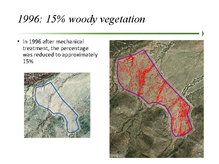 1996: 15% woody vegetation • In 1996 after mechanical treatment, the percentage was reduced