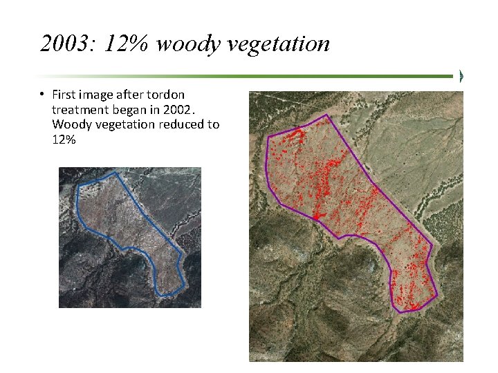 2003: 12% woody vegetation • First image after tordon treatment began in 2002. Woody